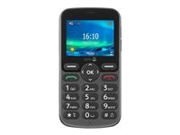 DORO 5860 - 4G téléphone de service - microSD slot - 320 x 240 pixels - rear camera 2 MP - gris 8209