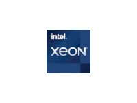 Intel Xeon E-2378G - 2.8 GHz - 8 cœurs - 16 filetages - 16 Mo cache - LGA1200 Socket - OEM CM8070804494916